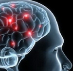 ویتامین محافظ مغز کشف شد