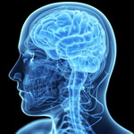گرما و سرما چگونه مغز را فریب می‌دهند؟