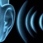 مغز چگونه صدا را رمزگشایی می‌کند؟