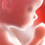 عوامل موثر بر هوش کودک در دوران جنینی