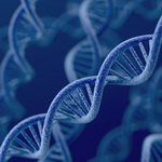 کشف ۵۲ ژن مرتبط با هوش