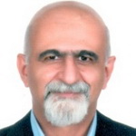 ریاضیدان ایرانی عضو دائم فرهنگستان علوم جهان شد