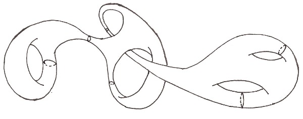 طرحی از یک سطح ریمان، با رویه‌های تایرمانند (یا داگنات‌شکل). خطوط ژئودزیک، به‌صورت حلقه‌هایی در این طرح مشخص شده‌اند